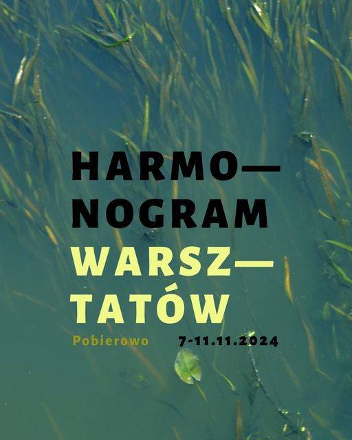 Warsztaty „Narracje mórz i rzek” w Pobierowie